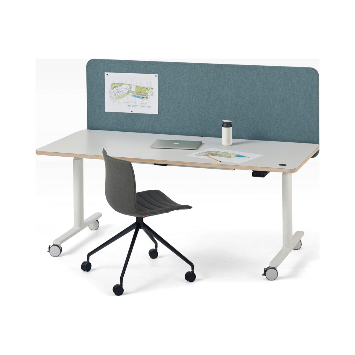 Butterfly screen on a folding table in blue