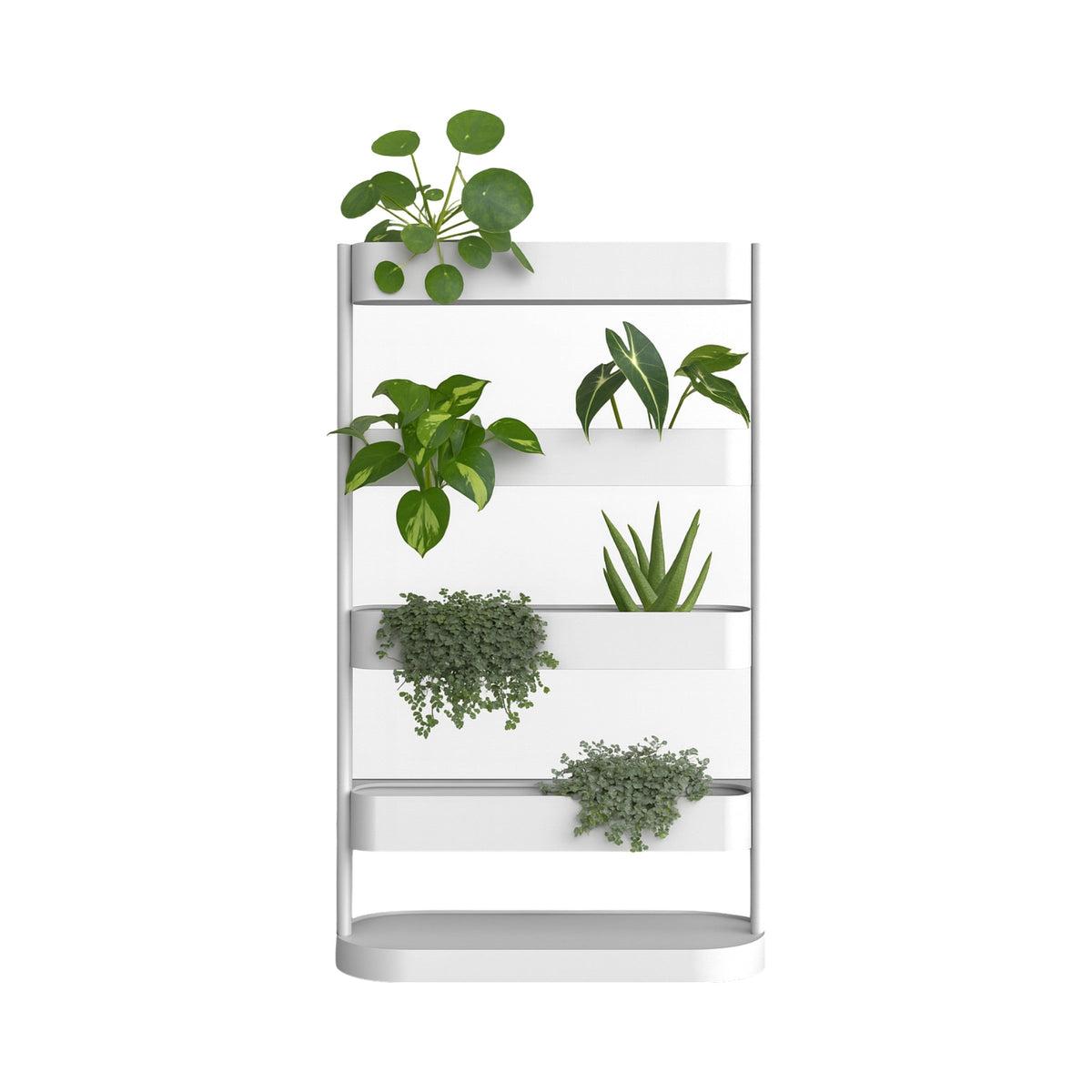 Clio mobile garden in white, planted