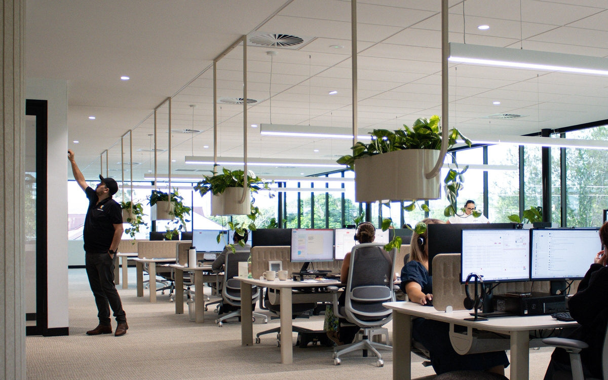 FATI hanging planters in an office