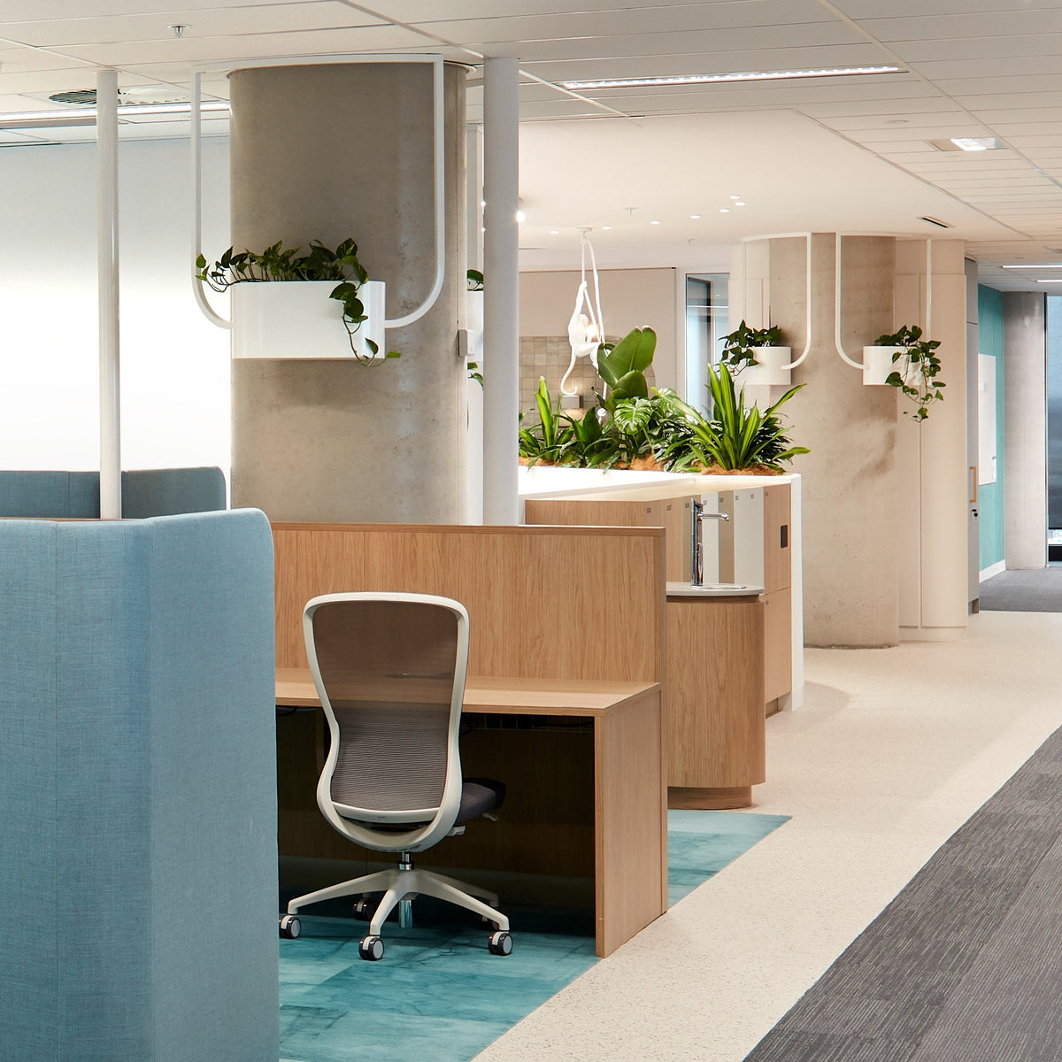 FATI hanging planters in an office