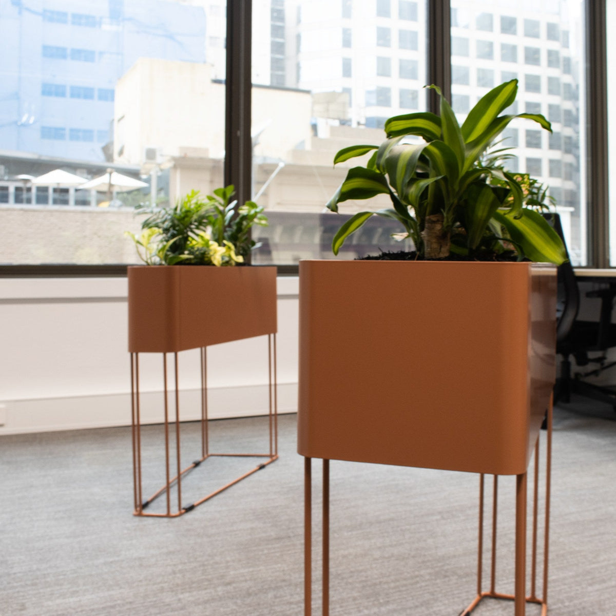 GROVE planters in an office