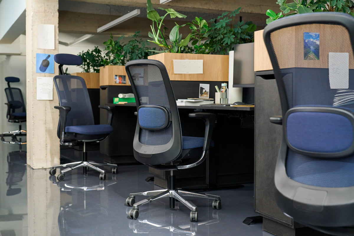 HÅG SoFi chairs in an office