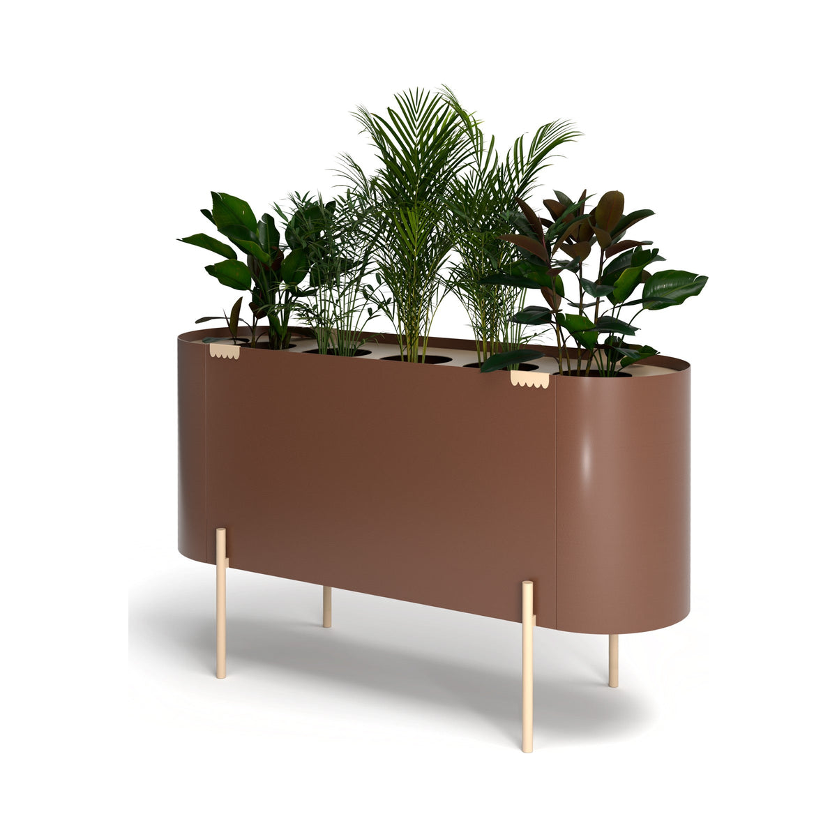 MAS Planter in terracotta