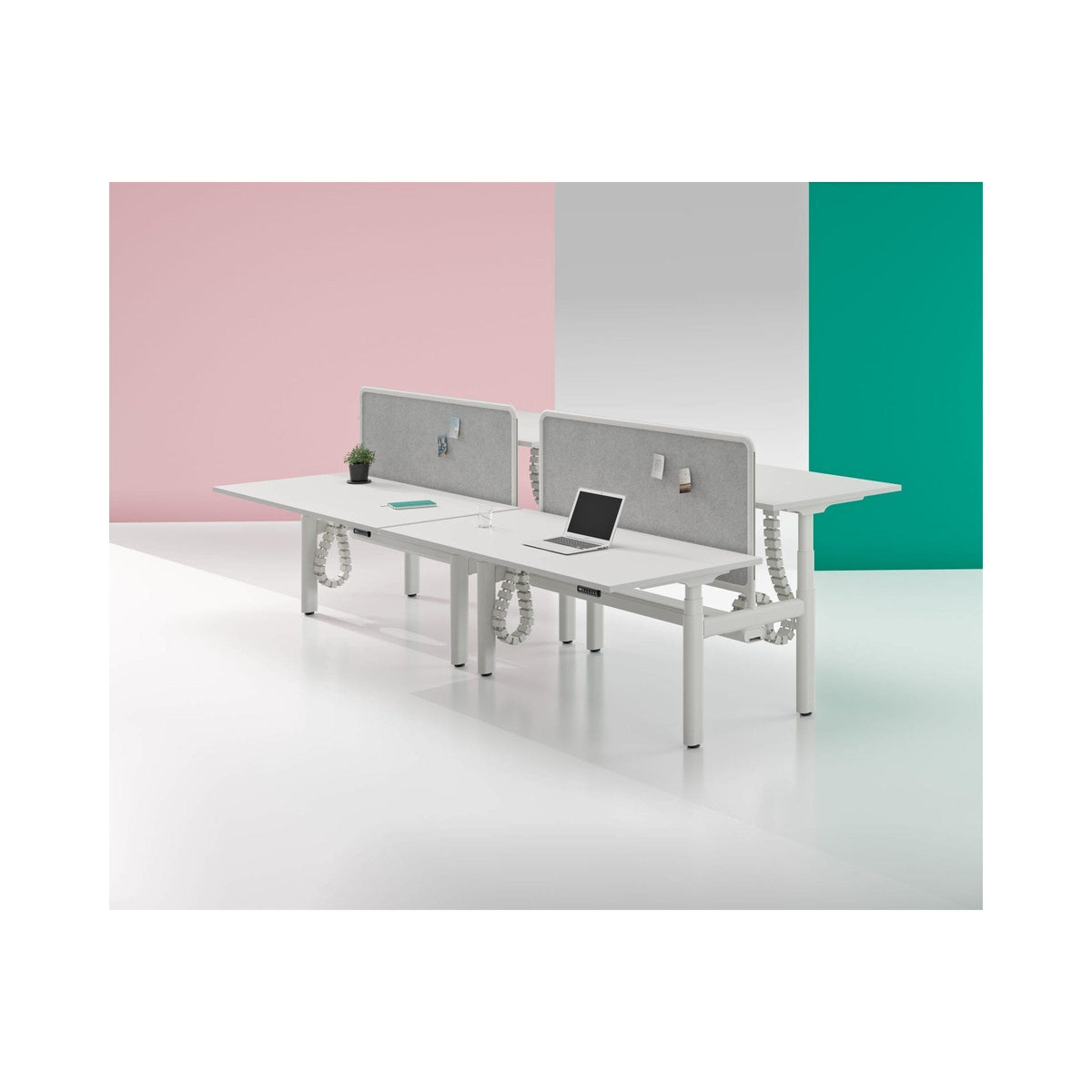 Ovation back-to-back desks with screens
