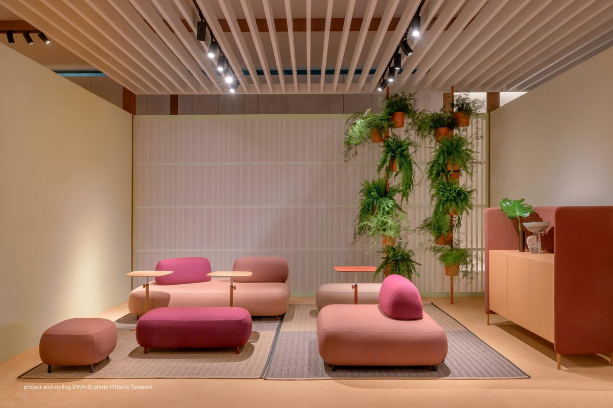 Pedrali Buddy Oasi in a styled interior