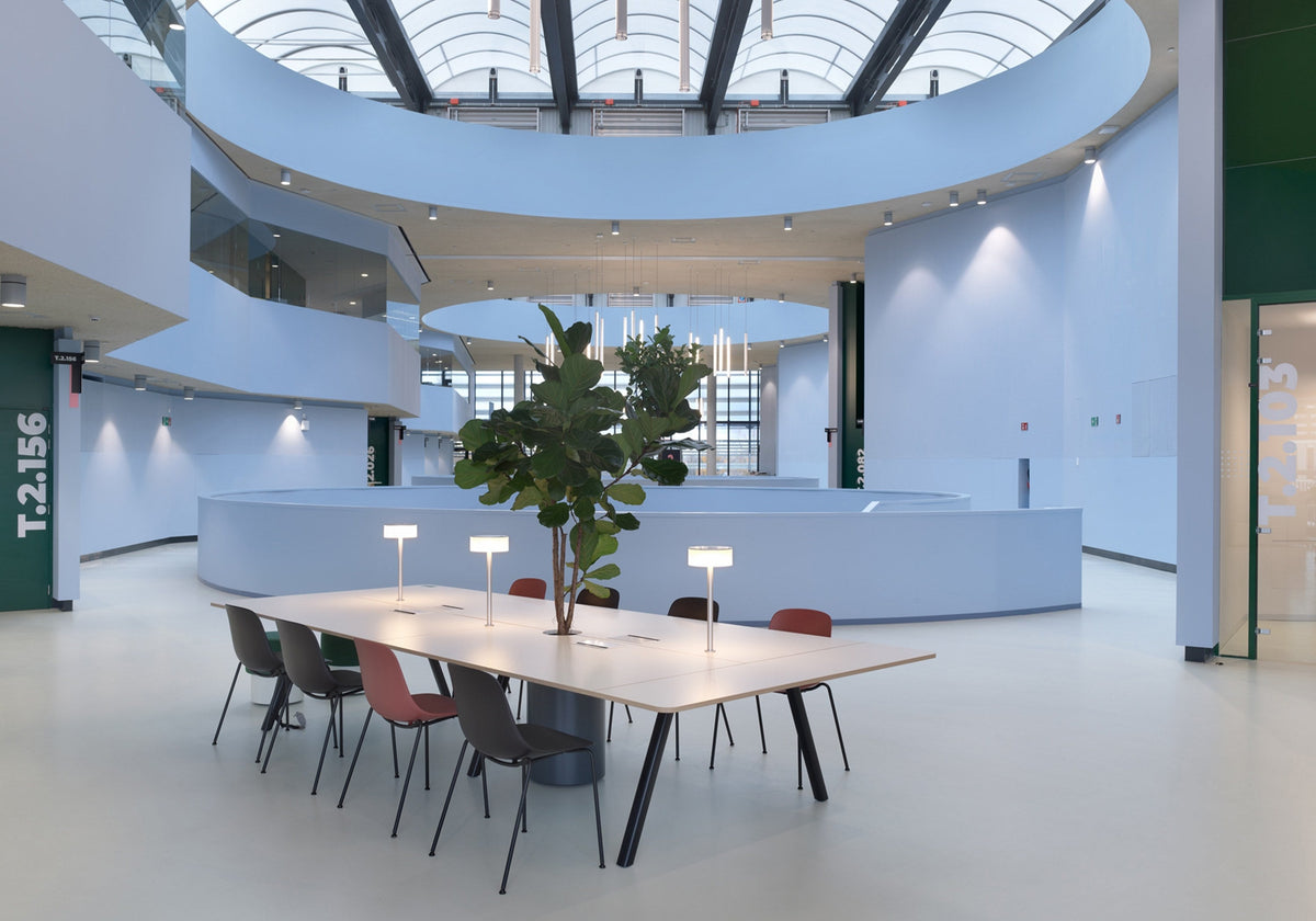 Pure Loop chairs in a dining room