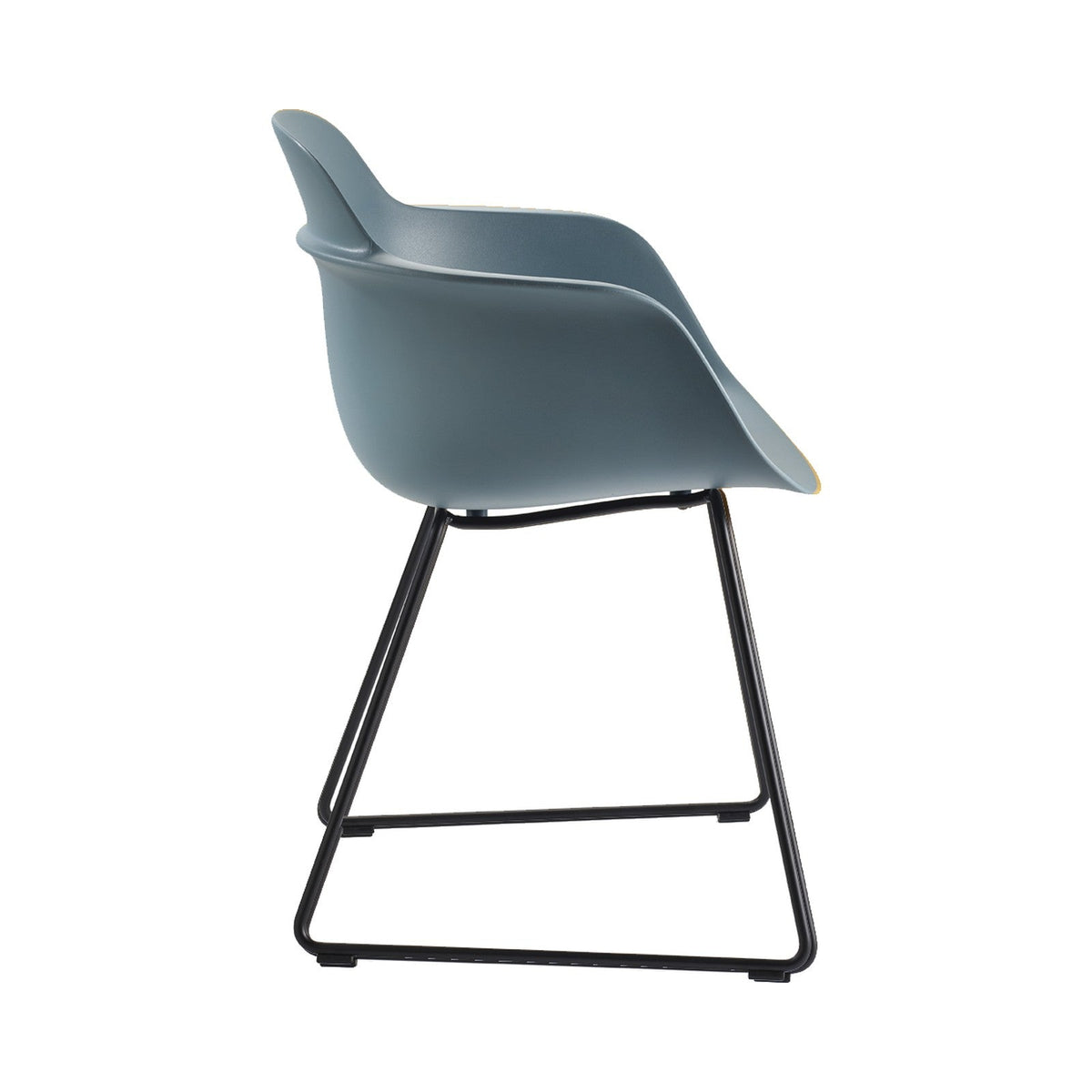 Sicla Sled Chair – Polypropylene shell (Black | Powder Blue), side view