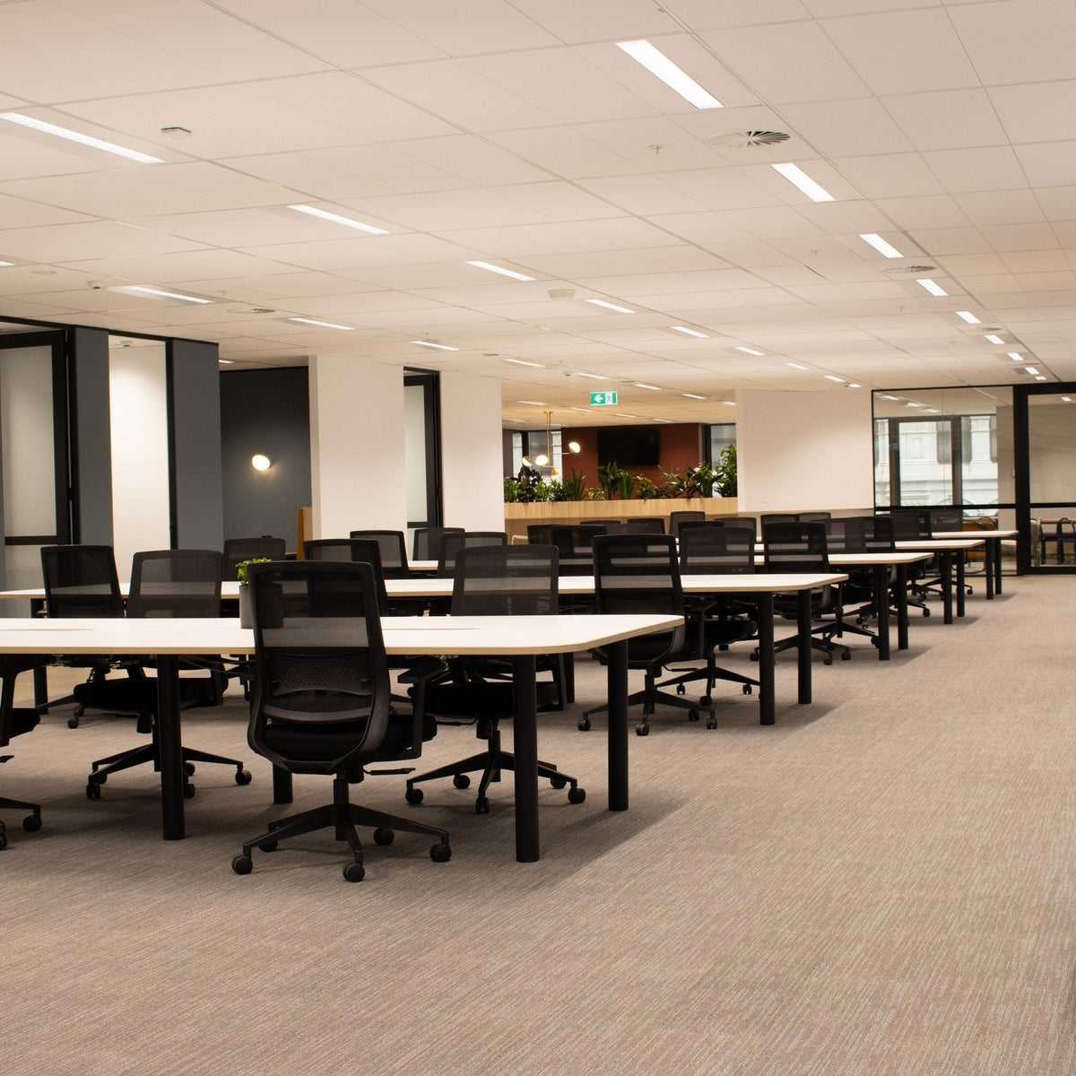 TUBE workstations in an office