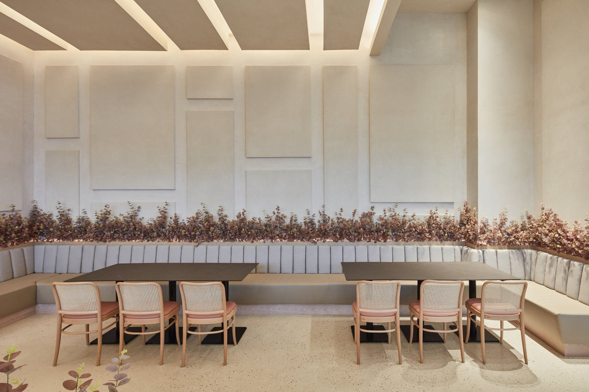 TON 811 chairs in a restaurant interior