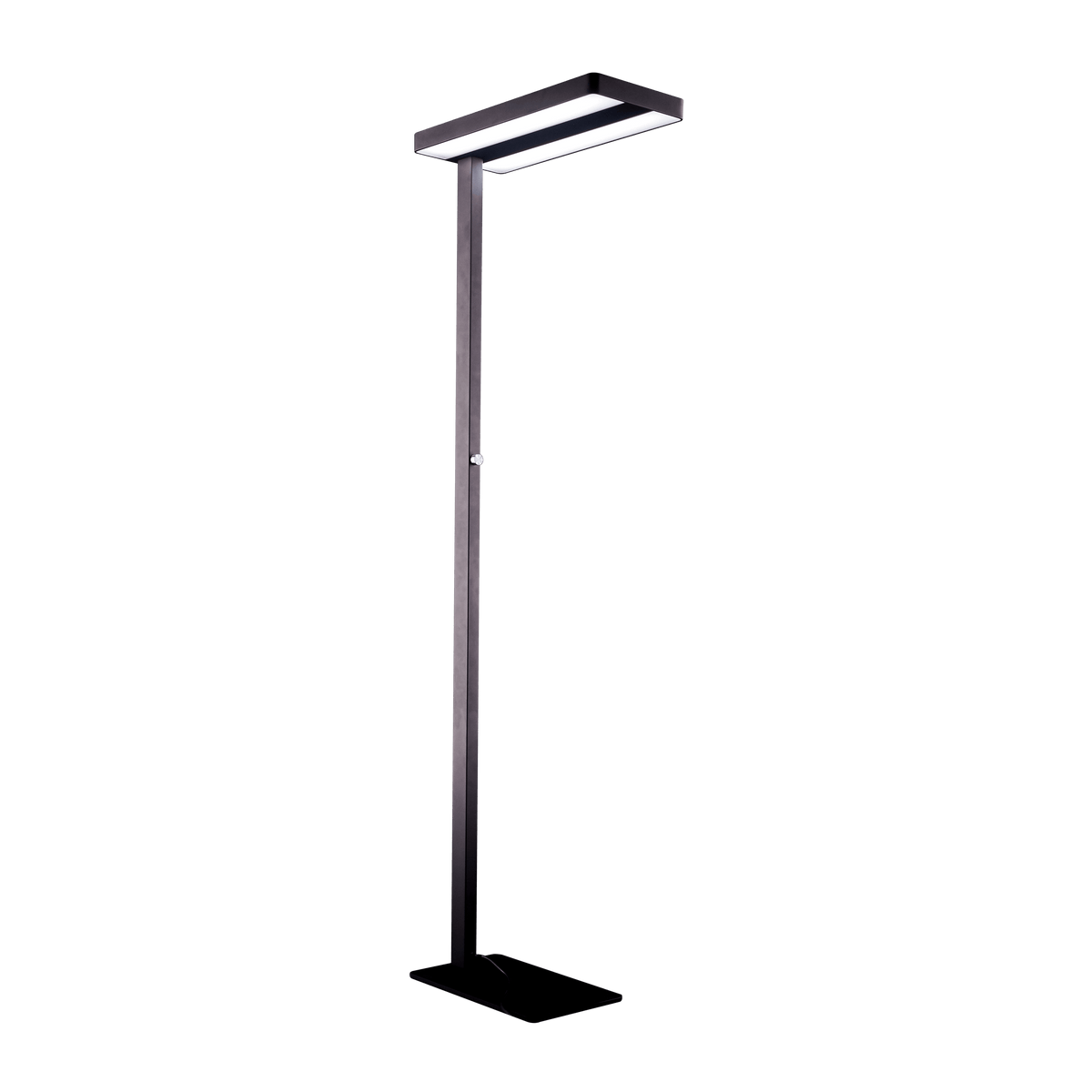 Albert Light