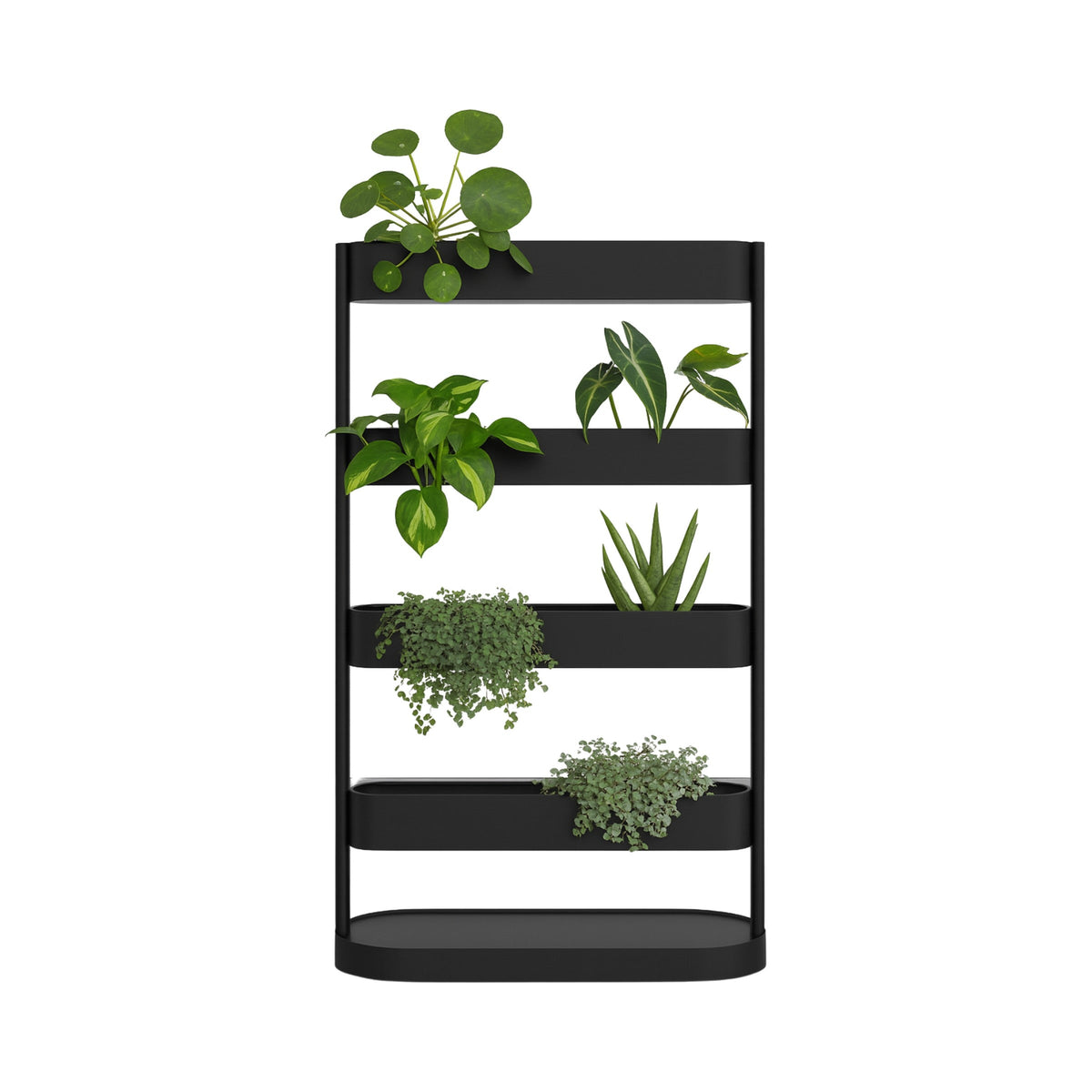Clio mobile garden in black, planted