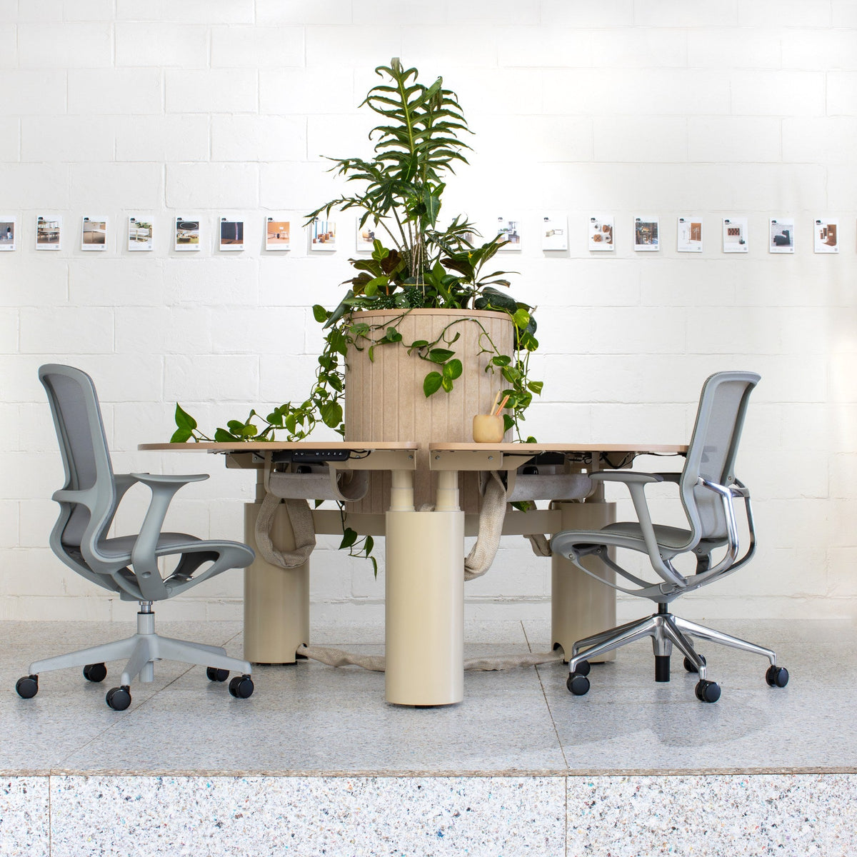 COLUMN h/a CLOVER in a workplace