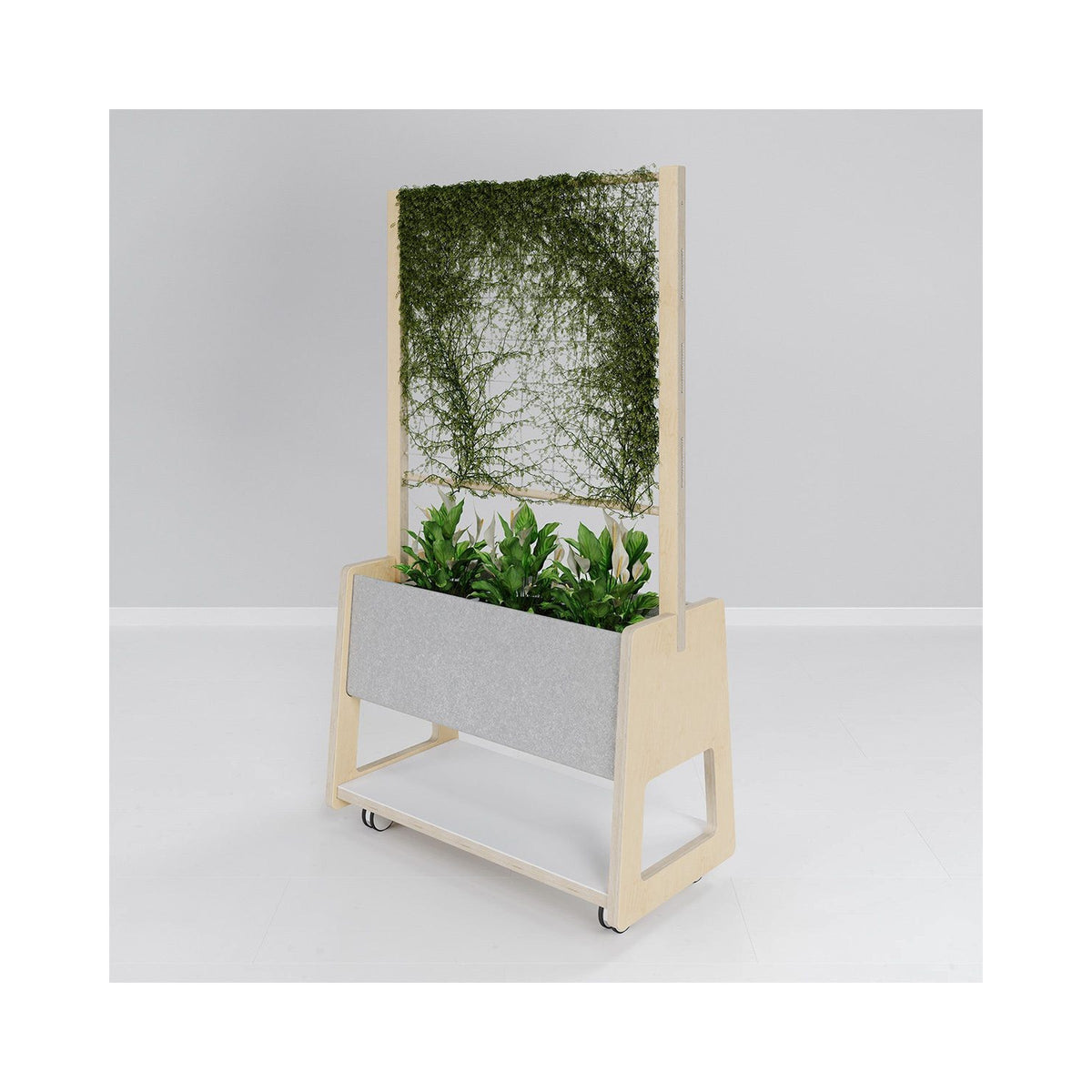 Etch trellis