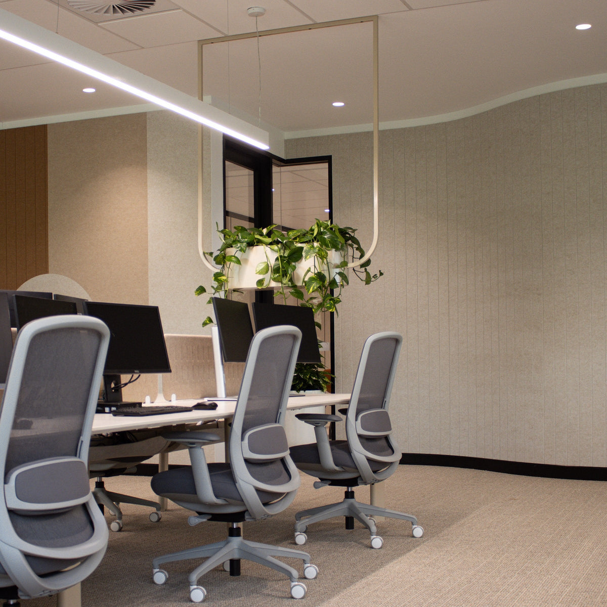 FATI hanging planters in an office