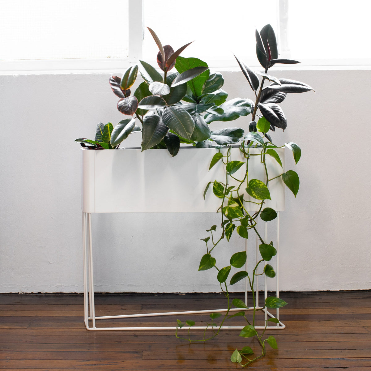 GROVE planters in an office