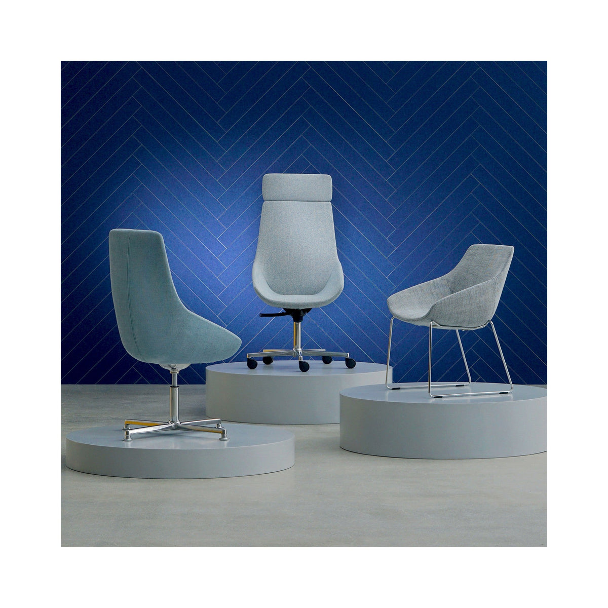 Jay in a styled setting