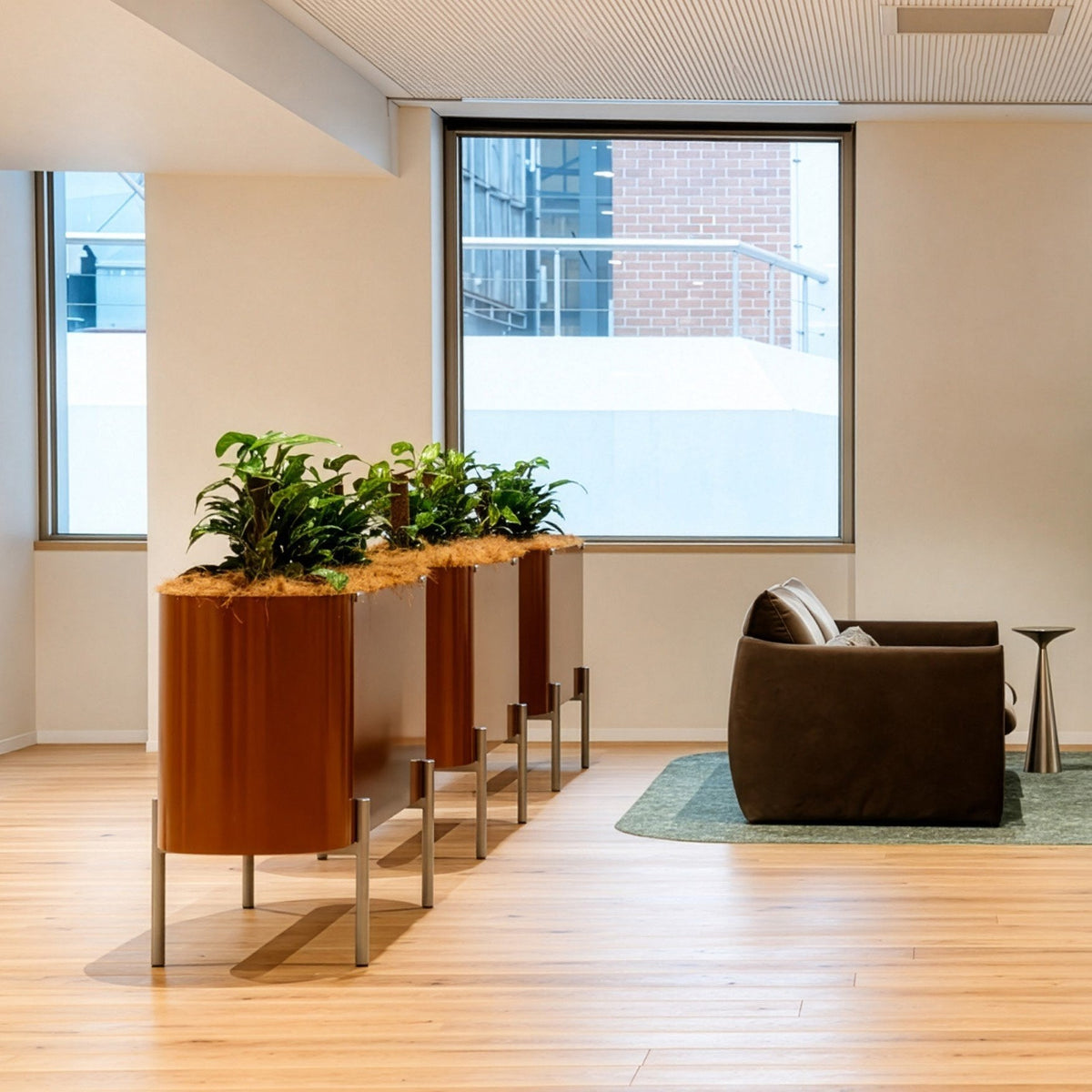 MAS planters in an office