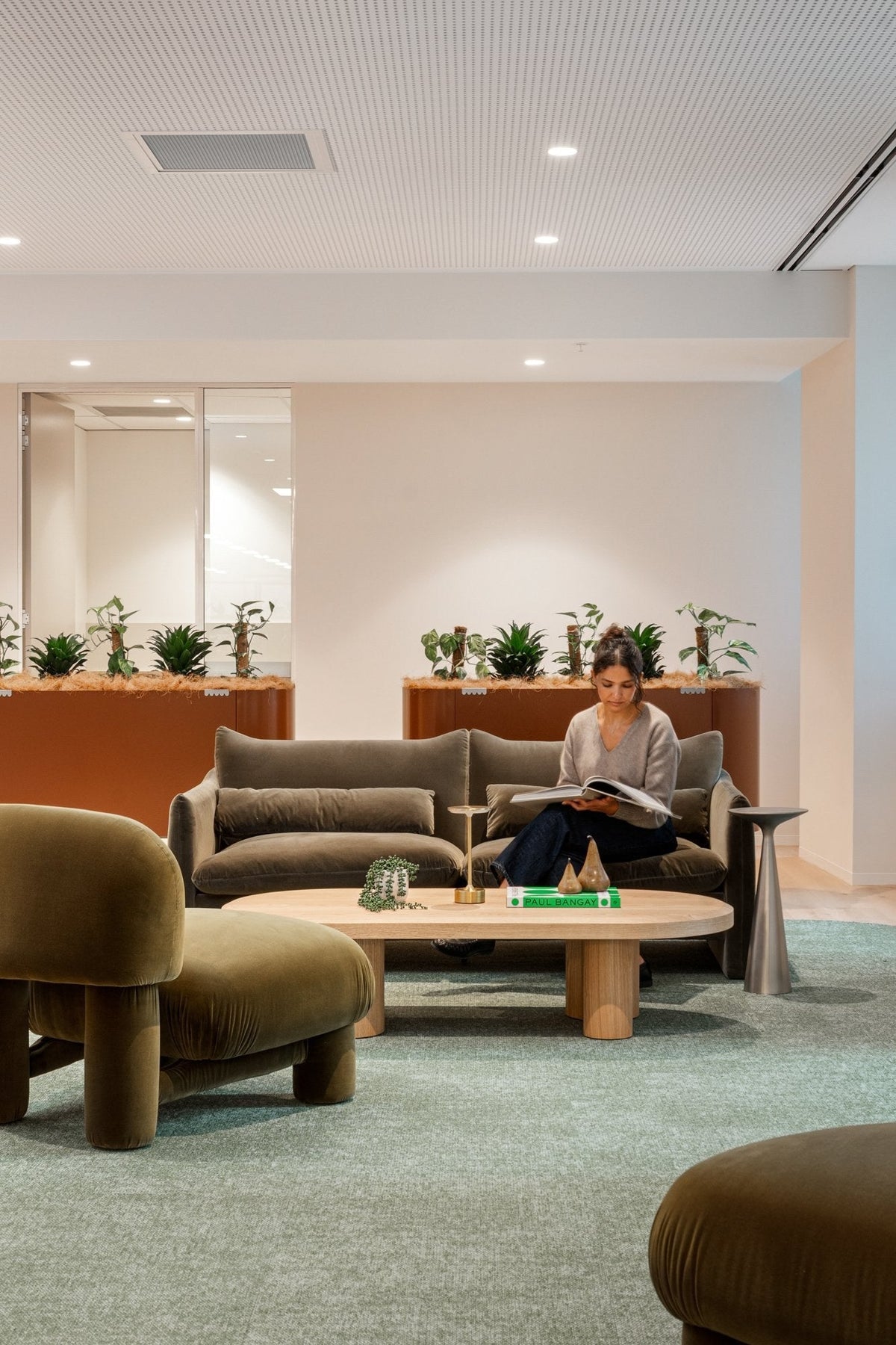 MAS planters in an office