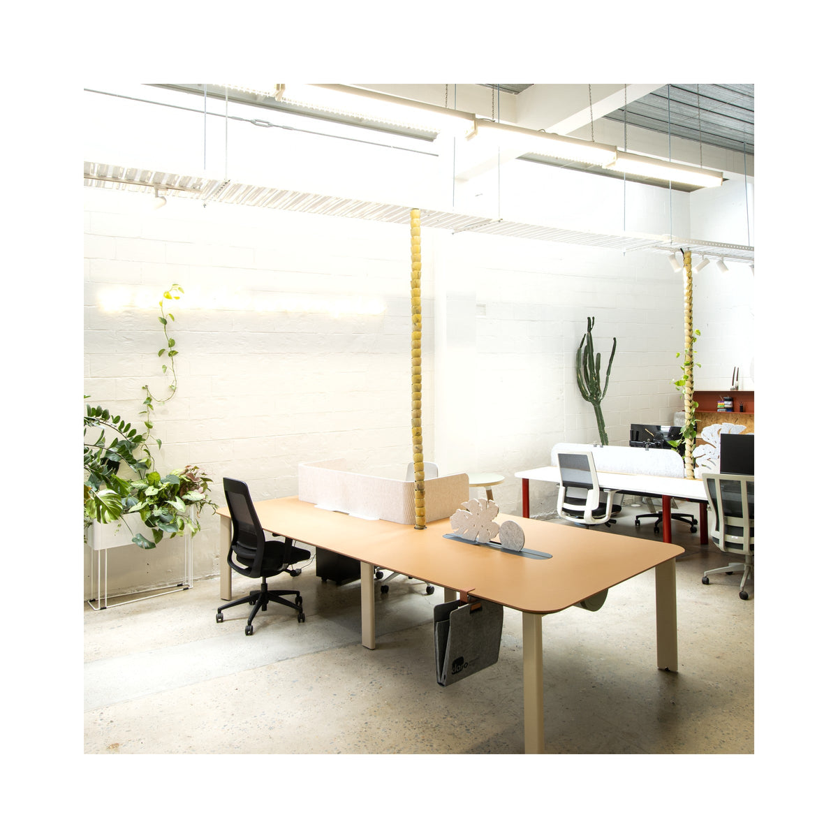 OBLONG workstations in an office