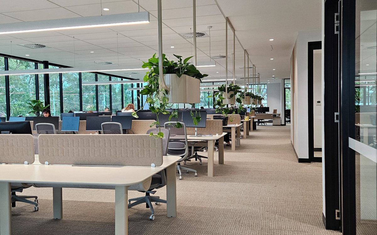 OBLONG workstations in an office