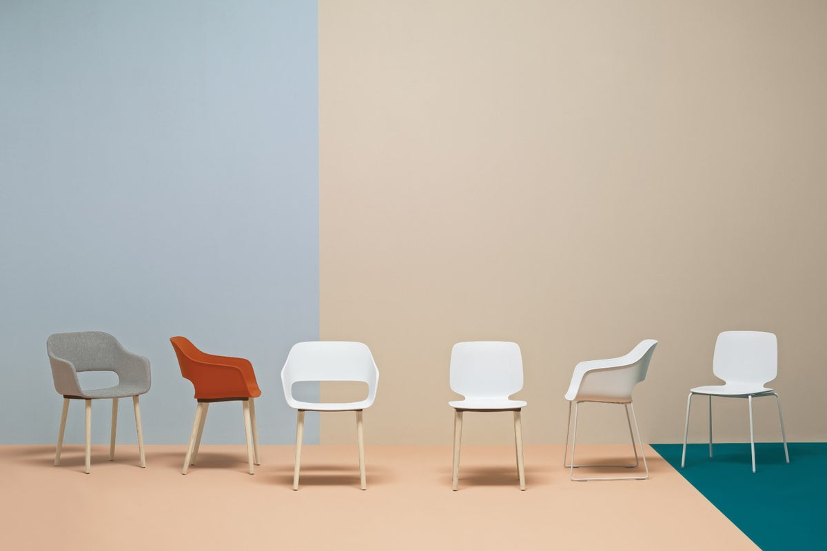 Pedrali Babila in a styled interior