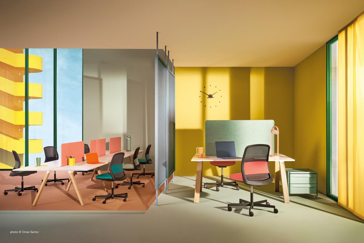 Pedrali Polar in a styled interior