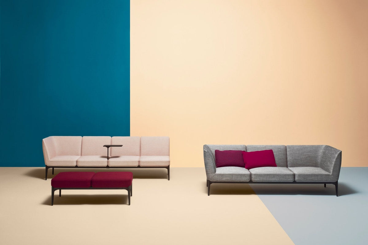 Pedrali Social and Social Plus in a styled interior