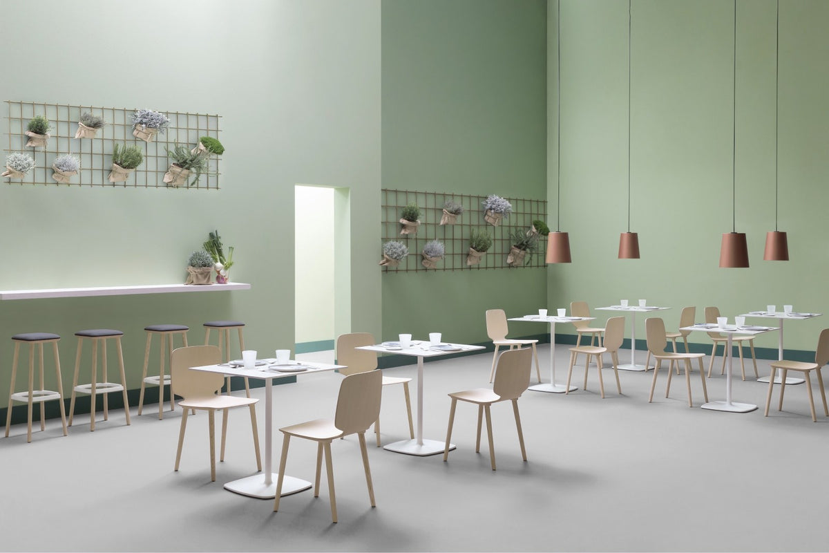 Pedrali Stylus in a styled interior