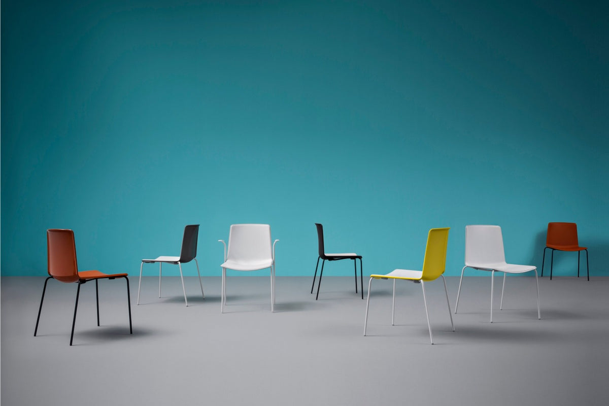 Pedrali Tweet in a styled interior